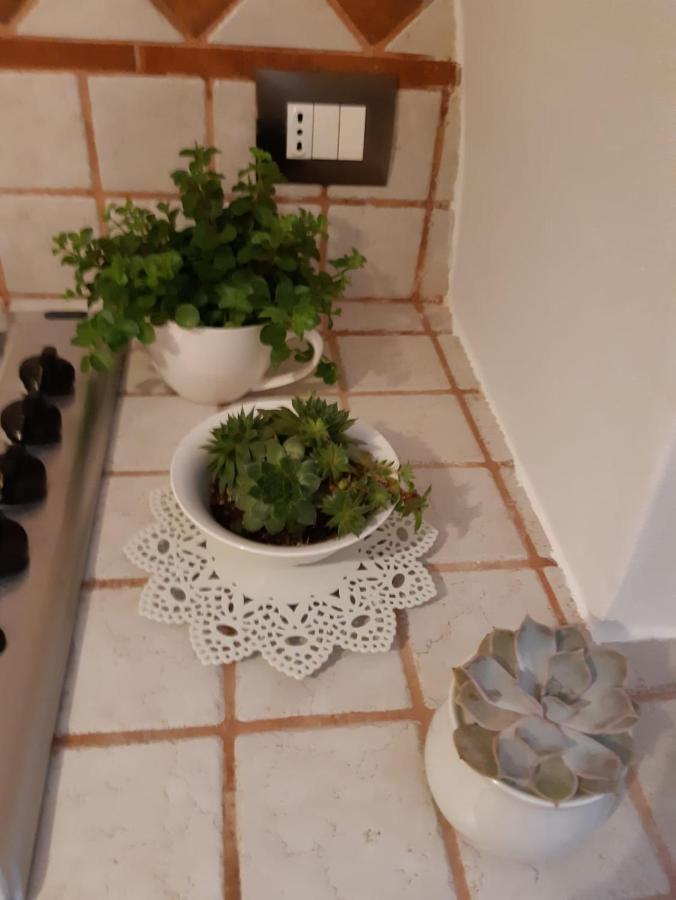 Donna Lucrezia Dimora A Corte B&B Conversano Eksteriør bilde